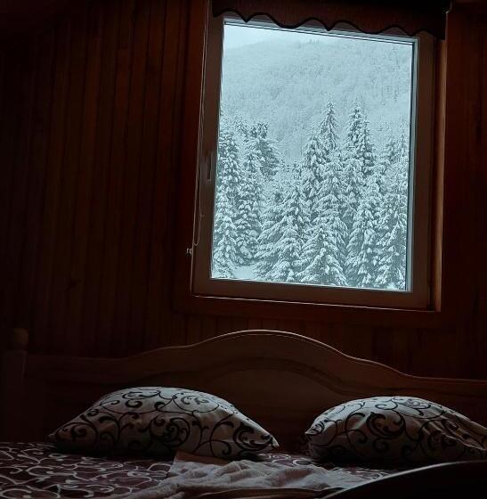 ペンション садиба квітка карпат