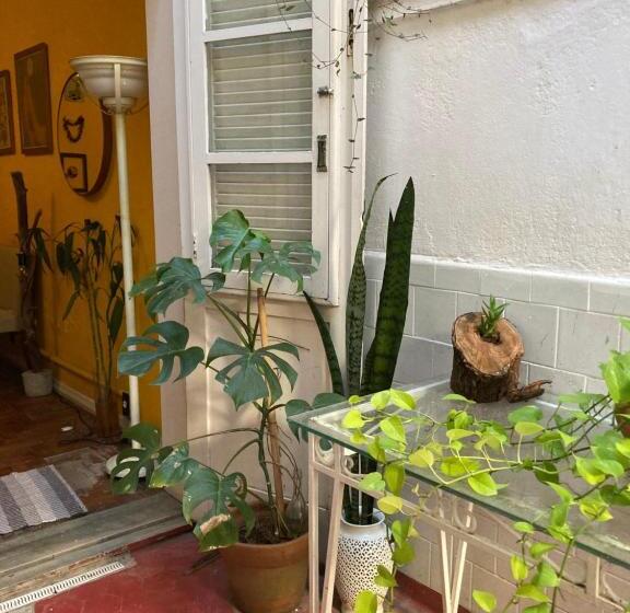 Chez Zany Boutique Hostel Santa Teresa