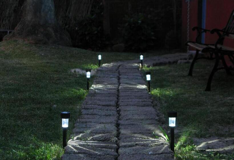 هاستل La Gozadera House