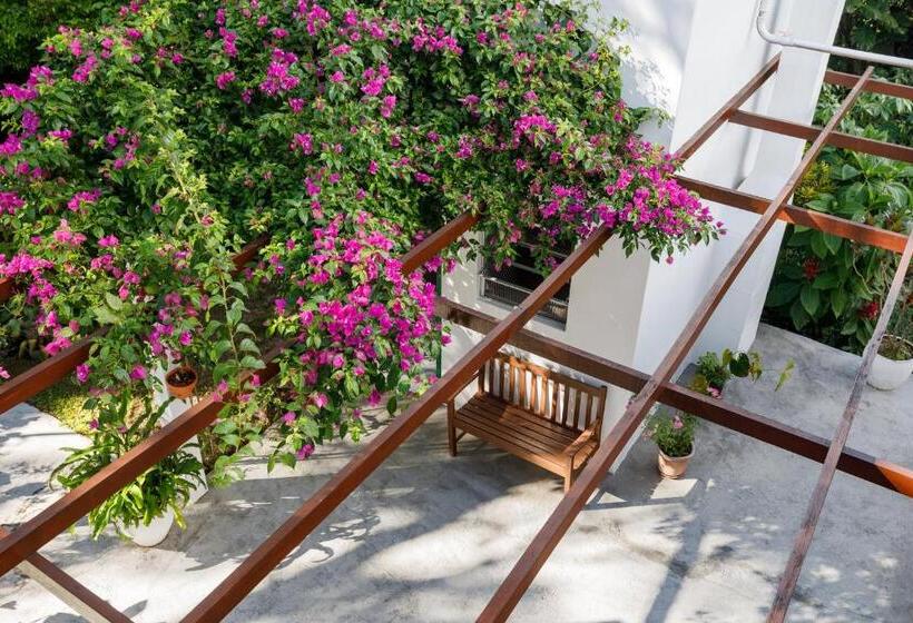 Общежитие Pousada Residencial Bambus