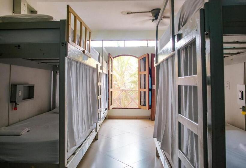 هاستل Puerto Dreams H