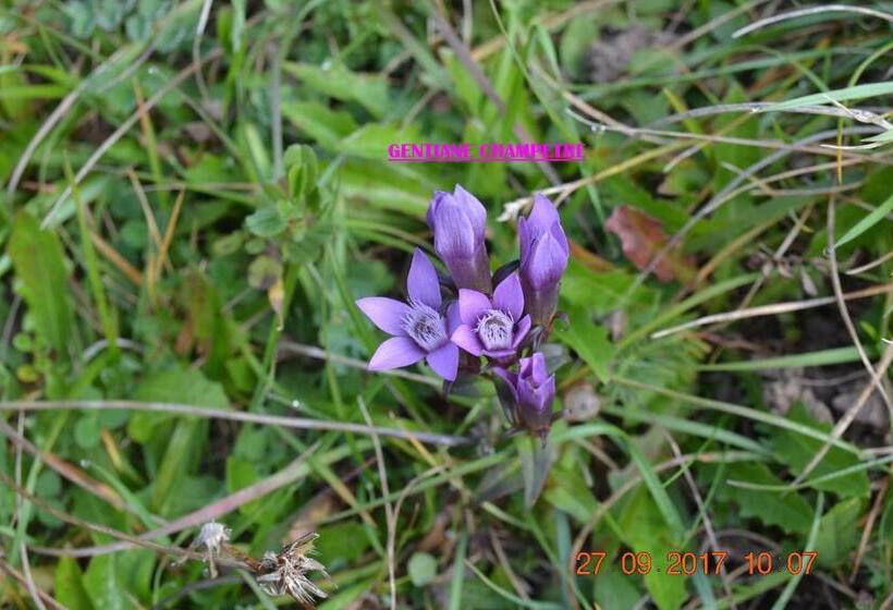 צימר Chambre D Hôtes Le Moulin