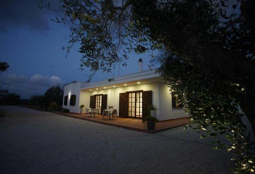 Bed and Breakfast Gli Ulivi Di Gino