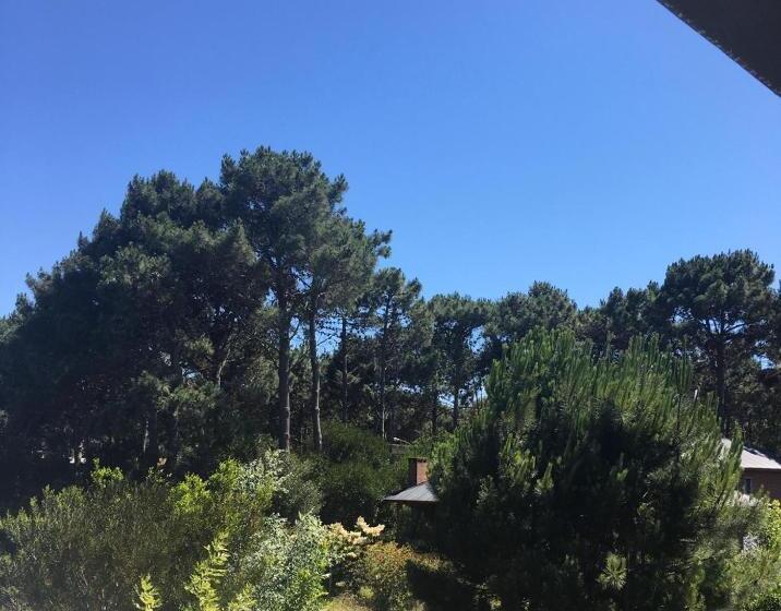 تختخواب و صبحانه Titanes Pinamar