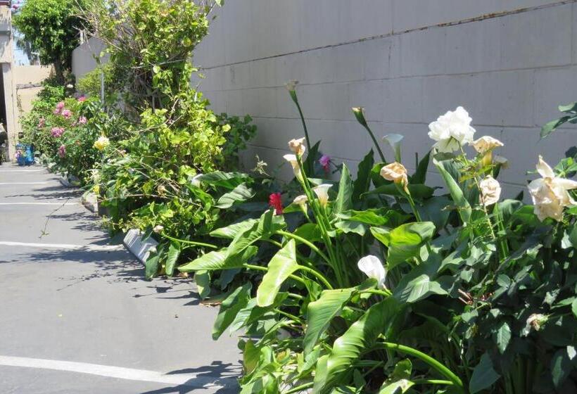 Florentina Motel   Los Angeles