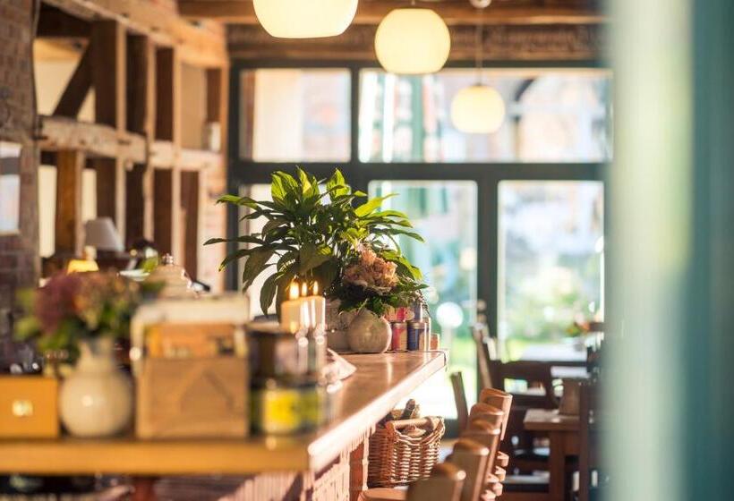 בית מלון כפרי Alter Hof Am Elbdeich