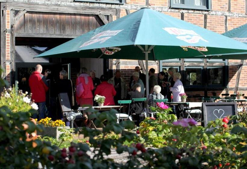 בית מלון כפרי Alter Hof Am Elbdeich