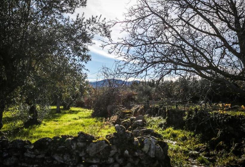 فندق Suite Da Casa Da Avó