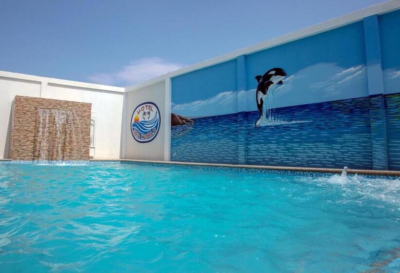 Отель Sea World