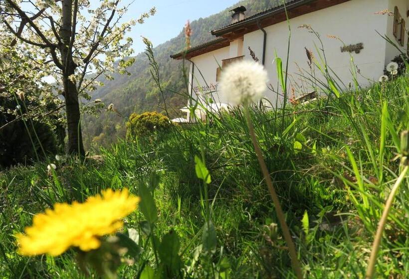ホテル Winklerhof