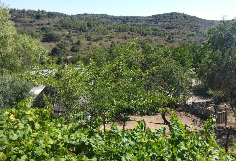 پانسیون Hostal Rural Casa Pedro