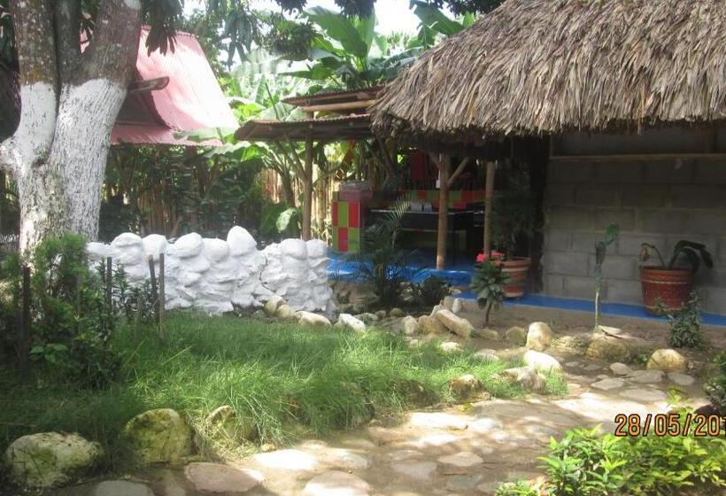 پانسیون Hostel Cattleya