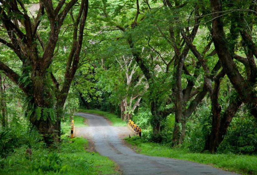 Resort Big Tree Cottages