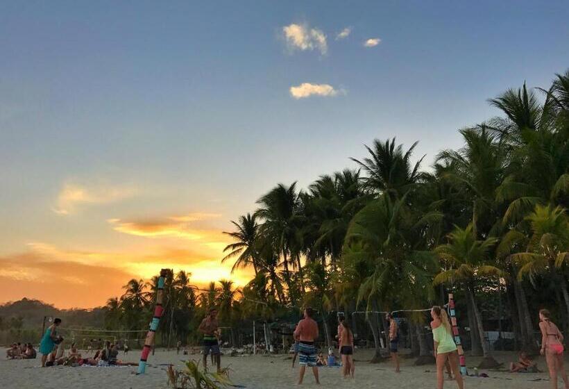 Sandy Toes Hostel