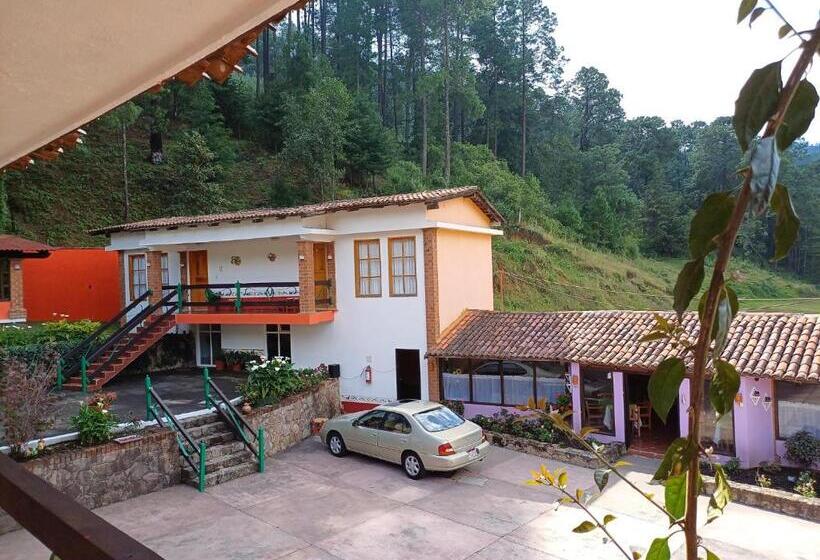 הוסטל Plaza Don Gabino Hotel Y Restaurante