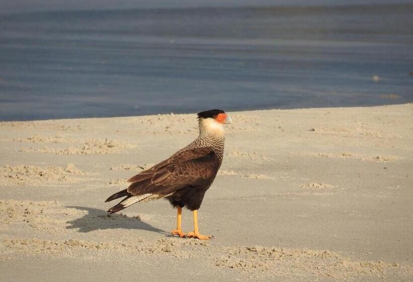 Общежитие Pousada Do Pescador