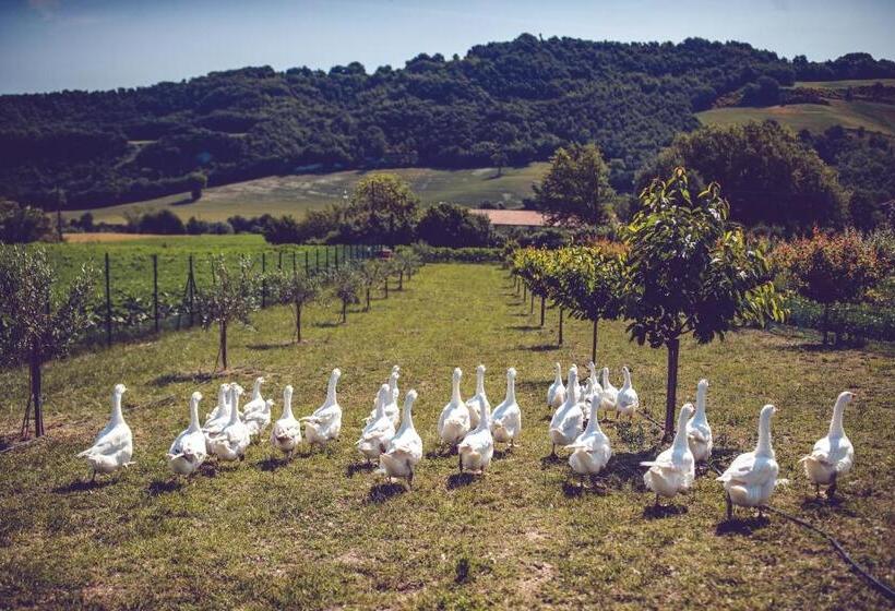 호텔 Agriturismo Casal San Sergio