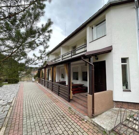 Отель Beregynia