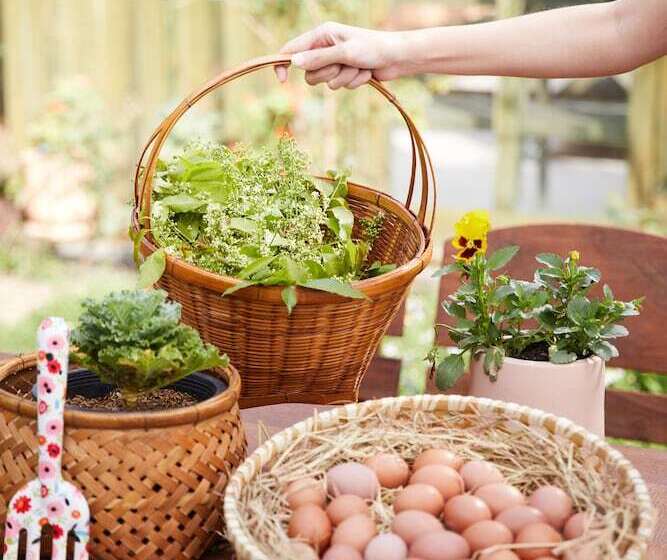 ホテル La Cocotte Villa & Farm Khao Yai
