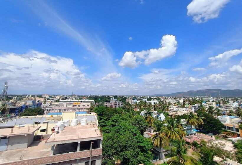 酒店 Vijayanagarakingscourt