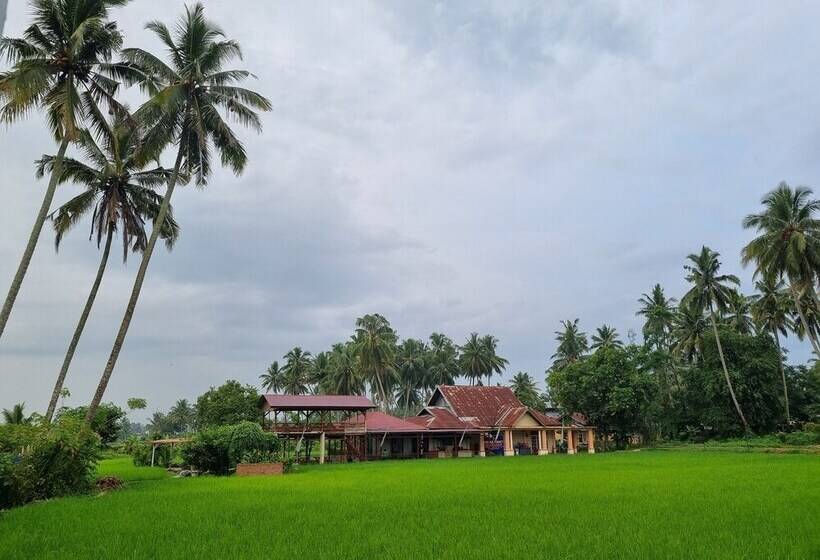 هتل Wafaby Guest House