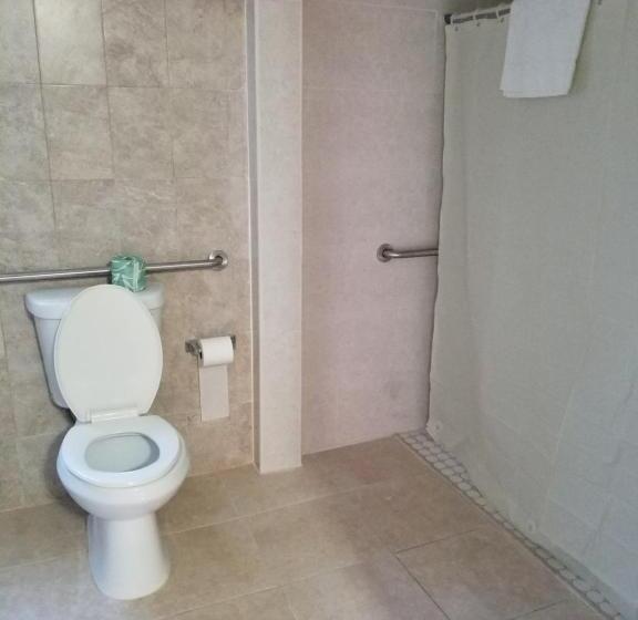 مُتل Royal Budget Inn