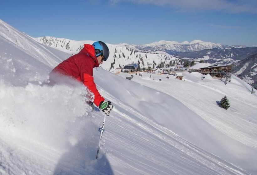 פנסיון Berghof   Riesneralm