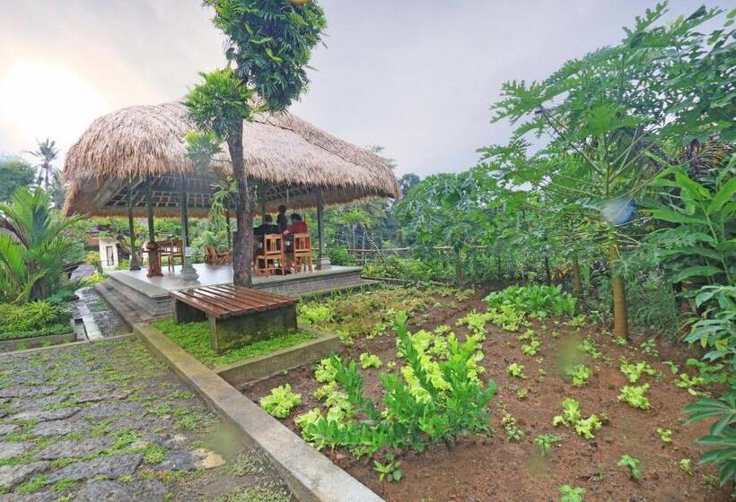 Пансион Inang Villa