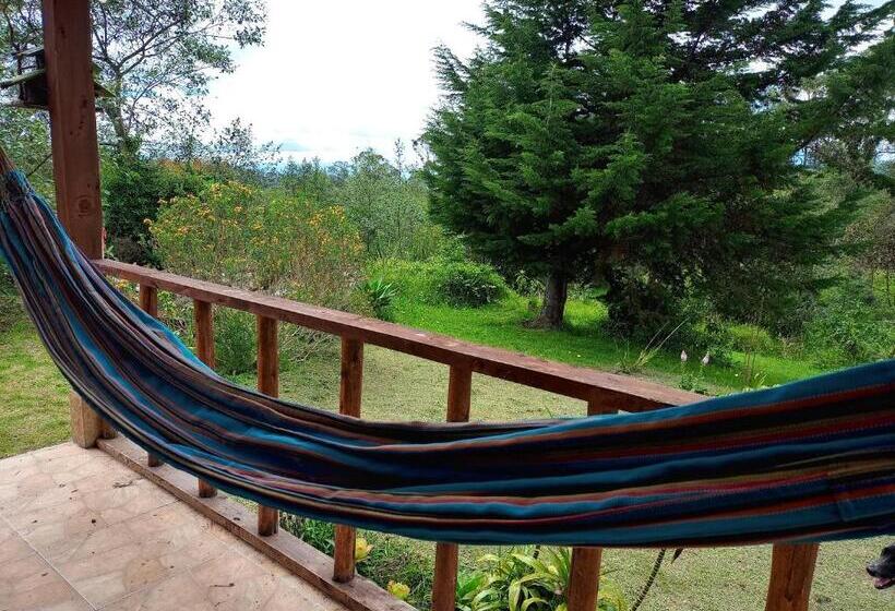 ペンション Monte Verde Cabañas Y Camping