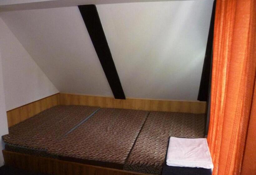 پانسیون Penzion Pod Studenovem