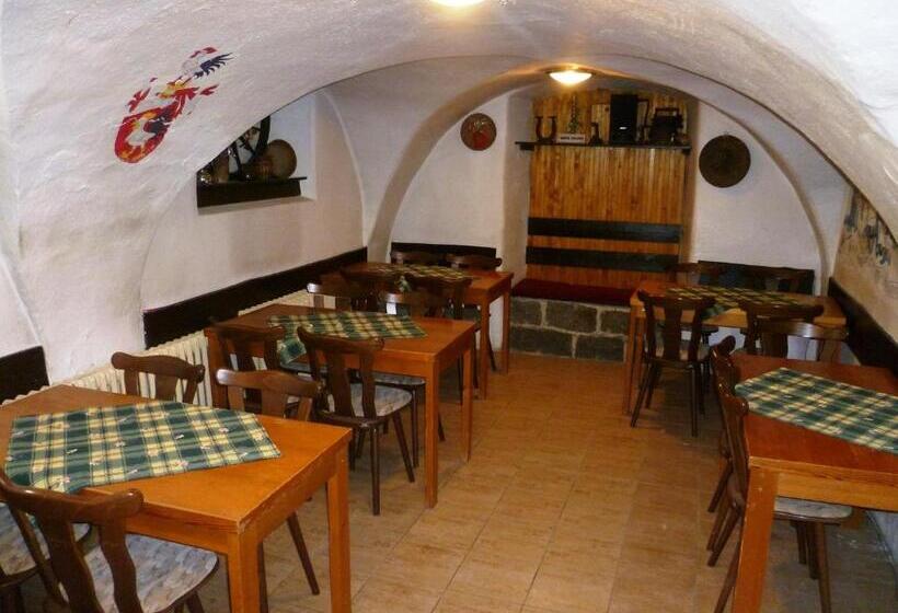 پانسیون Penzion Pod Studenovem