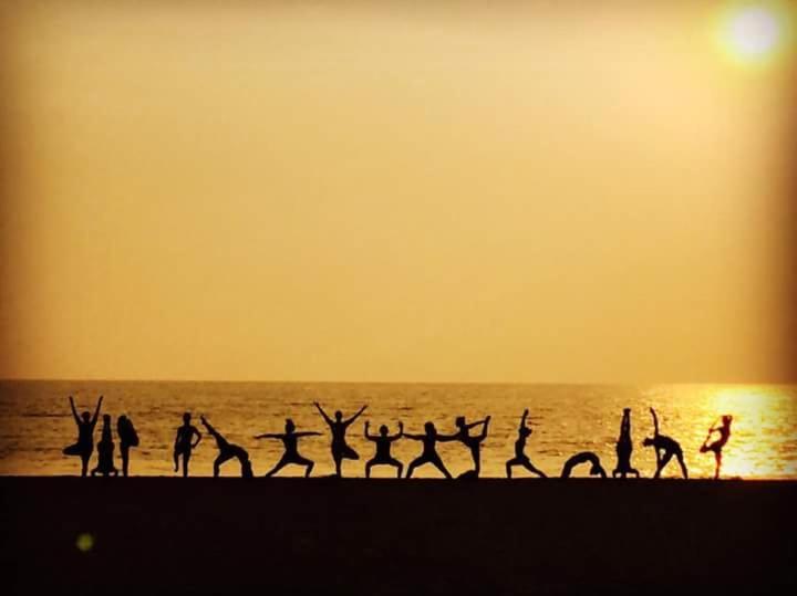 리조트 Drishti Yoga International