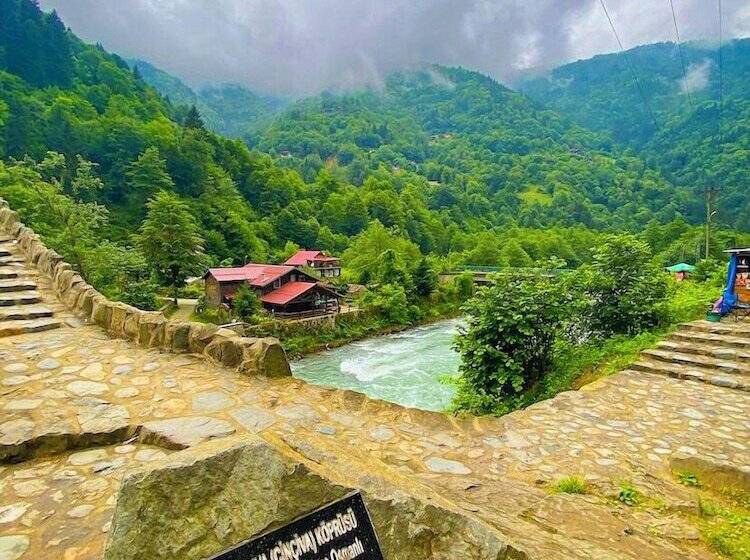 Ahsena Buti̇k Otel