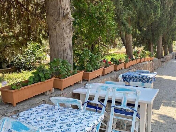 تختخواب و صبحانه Litri Otel