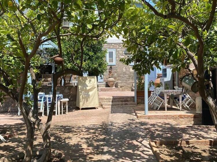 تختخواب و صبحانه Litri Otel