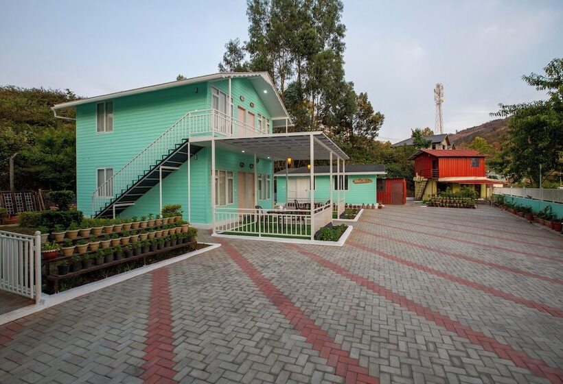 Отель Blossom Inn