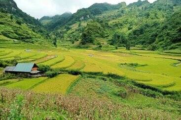 هتل Bac Ha Charm Stay