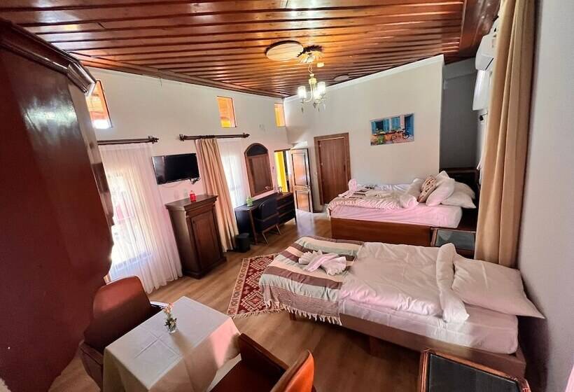 پانسیون Tarihi Sarı Konak