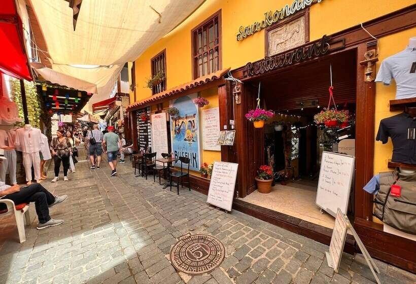 پانسیون Tarihi Sarı Konak