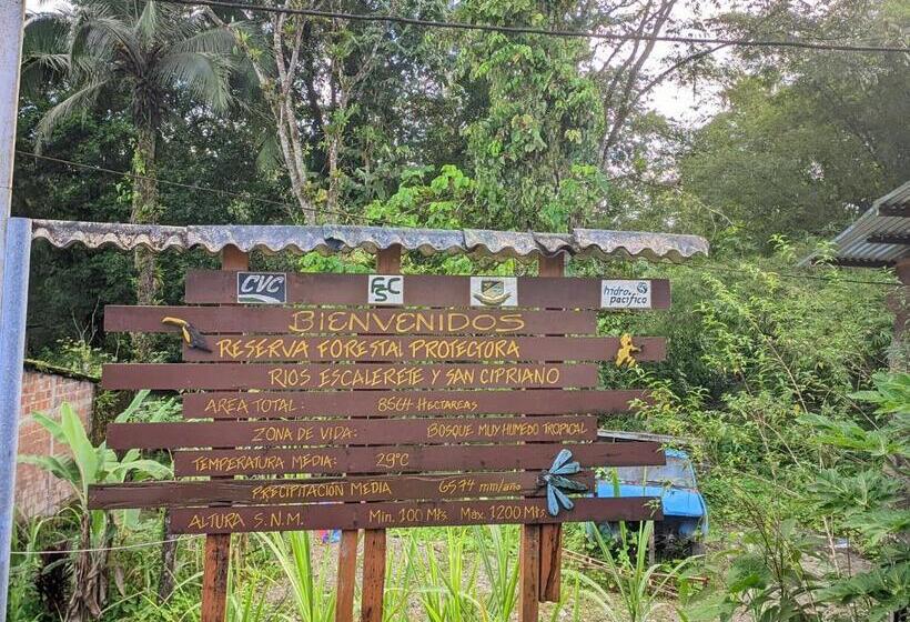 فندق Comodo Alojamiento En San Cipriano