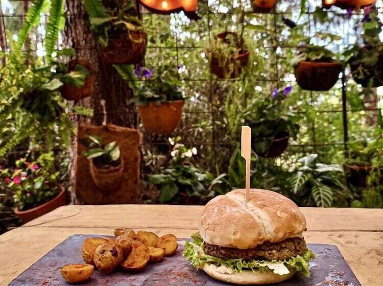 בית מלון כפרי Glamping Vital Spa