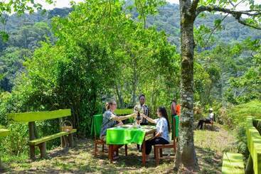 هتل Gorilla Hills Eco Lodge