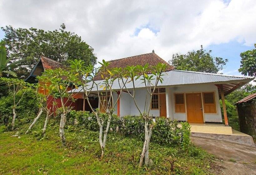 Отель Spot On 92567 Jati Homestay Near Taman Suranadi