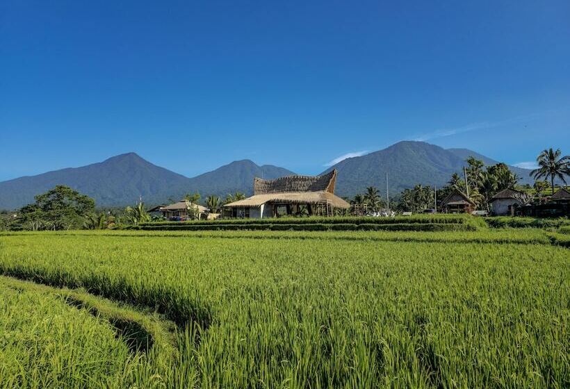 Nadi Nature Resort   Adults Only