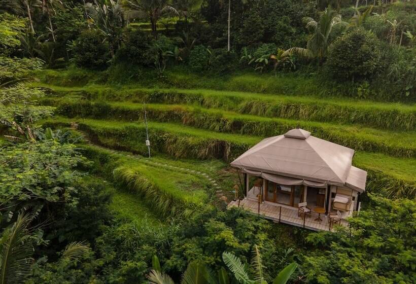 Nadi Nature Resort   Adults Only