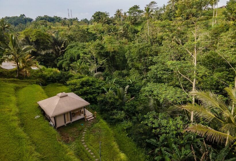 Nadi Nature Resort   Adults Only