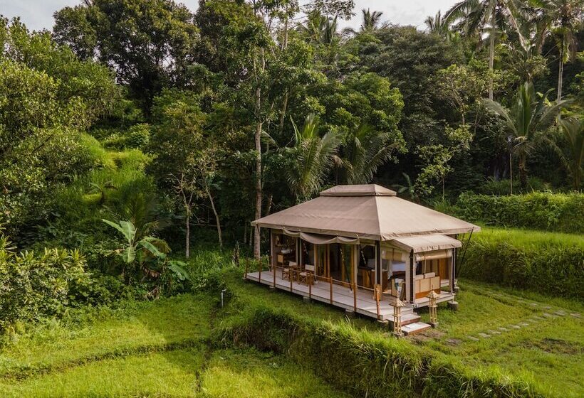 Nadi Nature Resort   Adults Only
