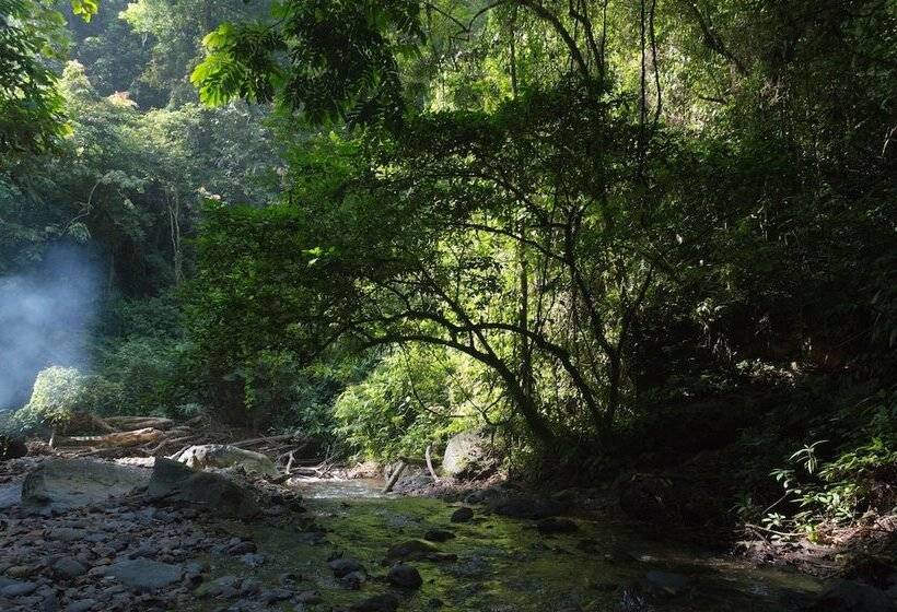 بنسيون Batu Katak Gibbon Guesthouse