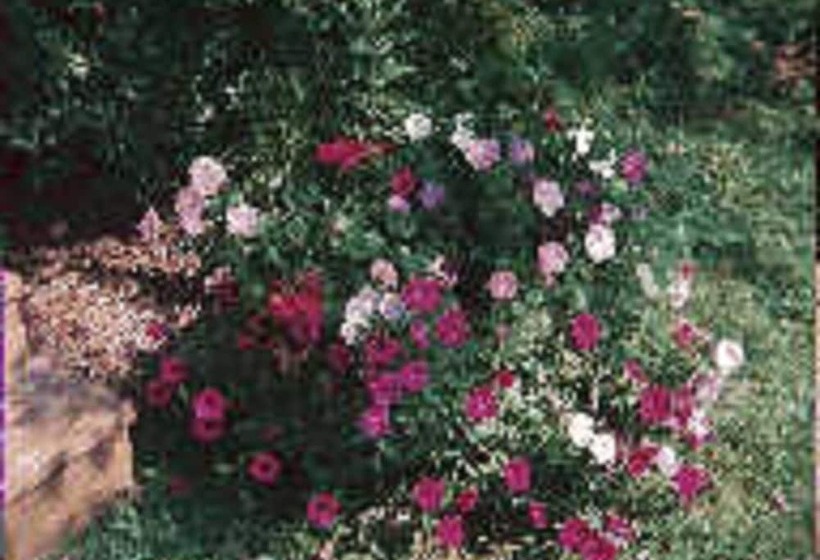 هتل Chesapeake Inn Of Lenox