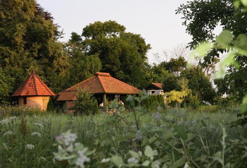 Отель Dwór Barocco
